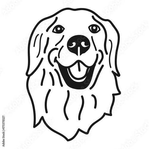 portrait of golden Retriever Dog Breed on White Background,Vector illustration