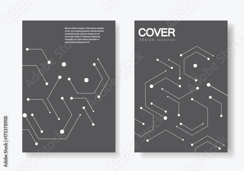 Vector connection and social network. Hexagons technology pattern
