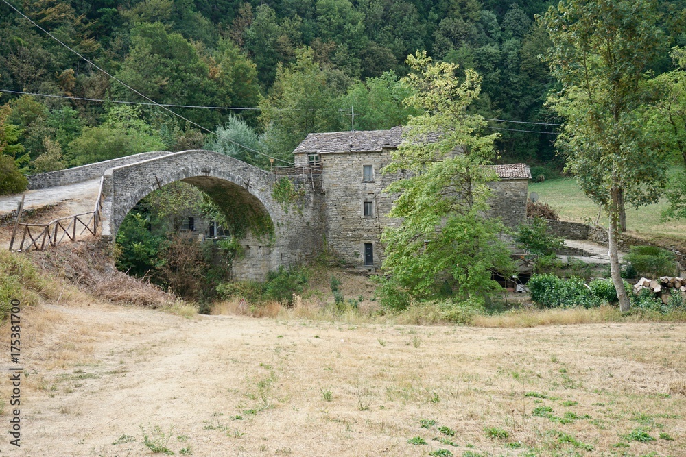 Ancient roman bridge