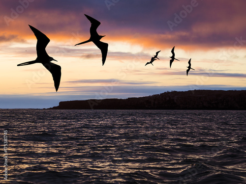 Sunset over the cliffs at Bartolome Island  Galapagos  Ecudor