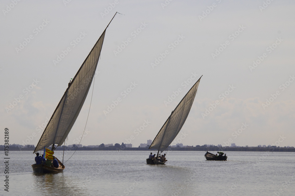 Obraz premium Vela Latina 