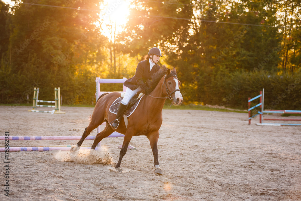 Obraz premium Horserider on the competition