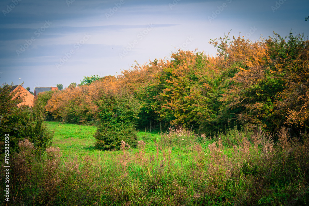 autumn country landscape