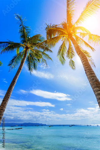 Fototapeta Naklejka Na Ścianę i Meble -  Palm tree over luxury beach
