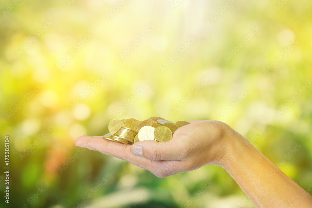 Male hand holding golden coins. Saving, money, finance donation, giving and bussiness concept. on green yellow nature bokeh background. Male hand holding golden coins. Saving, money, finance donation, giving and bussiness concept. on green yellow nature bokeh background.