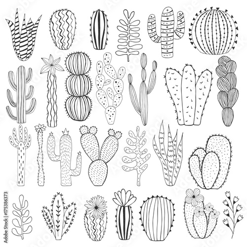 Hand drawn doodle cactus