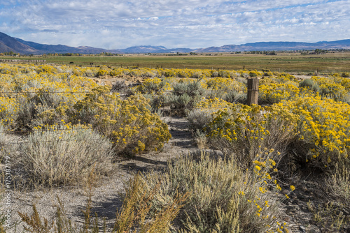 Ranchland, Gardnerville, NV