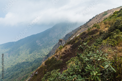 Mountain with golden grass along the way with old log fences and moving clouds at Kew Mae Pan Mountain Ridge in Chiang Mai, Thailand.