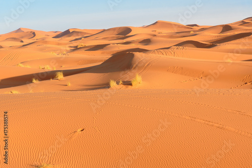 Erg Chebbi Sand dunes near Merzouga  Morocco