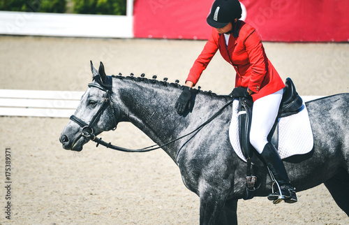 Young elegant rider woman and gray horse. Beautiful girl at advanced dressage test on equestrian competition. Professional female horse rider, equine theme. Saddle, bridle, boots and other details.