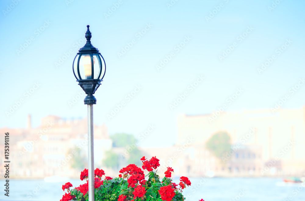 Red geraniums and lamppost with morning fog, Venice Grand Canal