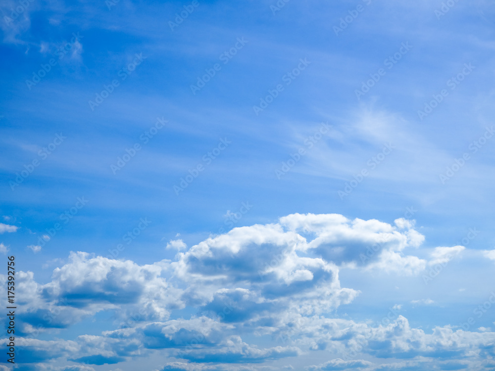 Fototapeta premium Sky with cumulus clouds. 