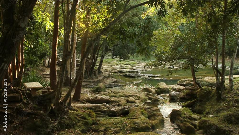 Stream runs through forest, Cuba Stream runs through forest, Cuba