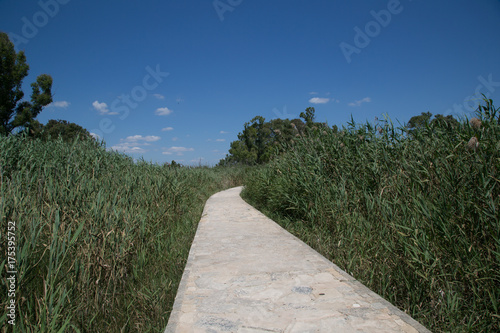 Sentiero, Riserva naturale orientata Oasi faunistica di Vendicari, primavera  photo