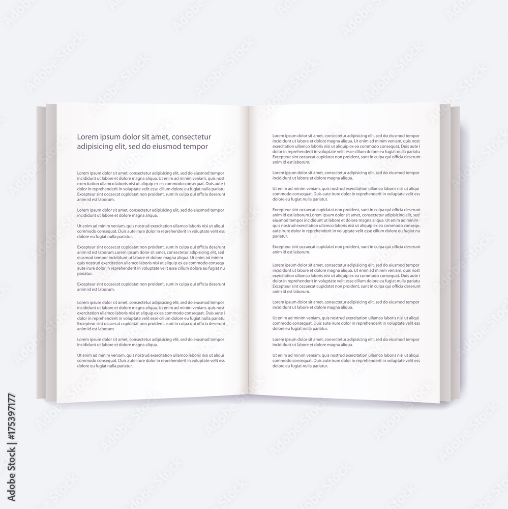 Fototapeta premium Open books with text