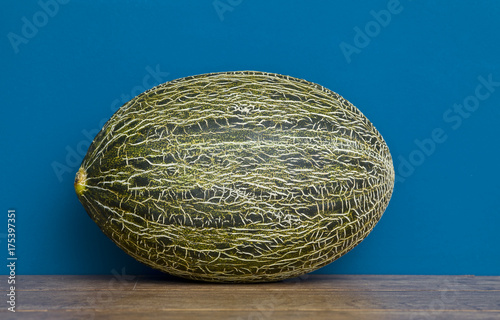 piel de sapo melon photo