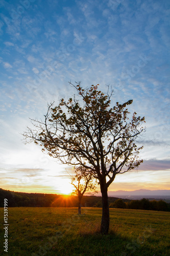 herbstlicher Sonnenuntergang im Schwarzwald