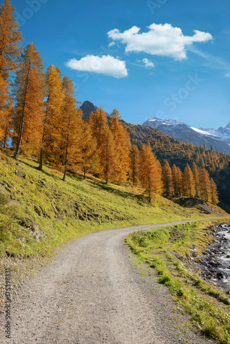 Wanderweg in den Schweizer Alpen, Lärchen mit Herbstfärbung