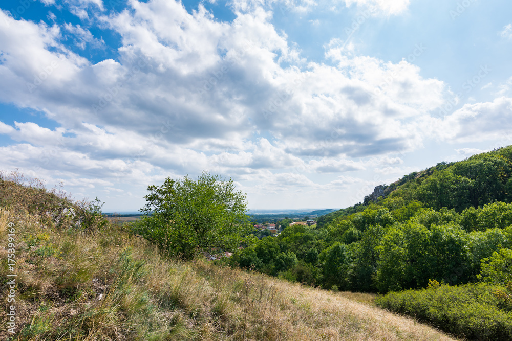 Meadow with rock and tree under the blue sky - landscape on small mountain