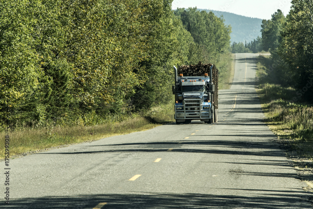 Big Logging truck moving highway wood from harvest field plant Canada ontario quebec