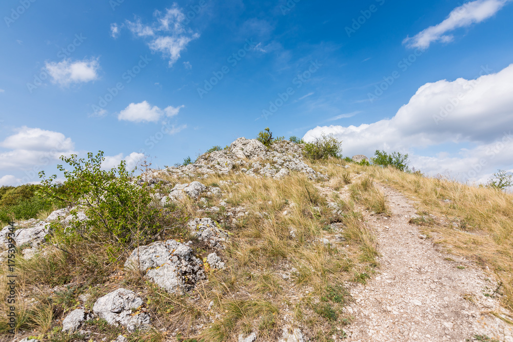 Meadow with rock and tree under the blue sky - landscape on small mountain Meadow with rock and tree under the blue sky - landscape on small mountain
