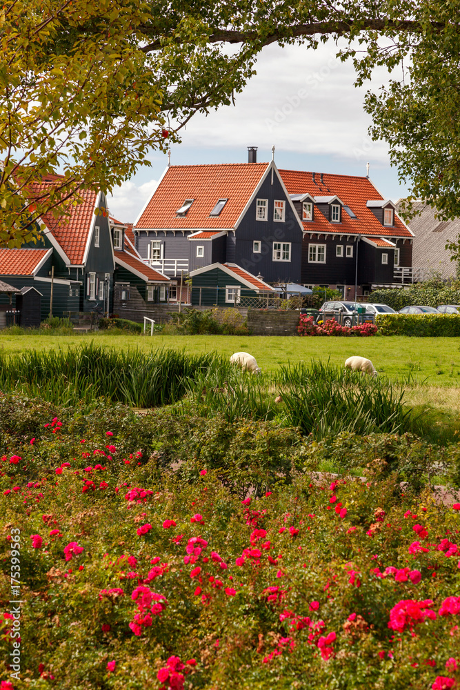 Traditional Houses Netherland