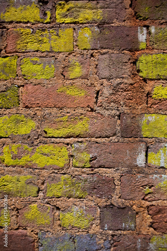 Brick wall tinged with yellow