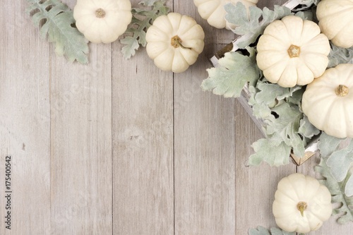 Autumn corner border of white pumpkins and silver leaves over a rustic light gray wood background