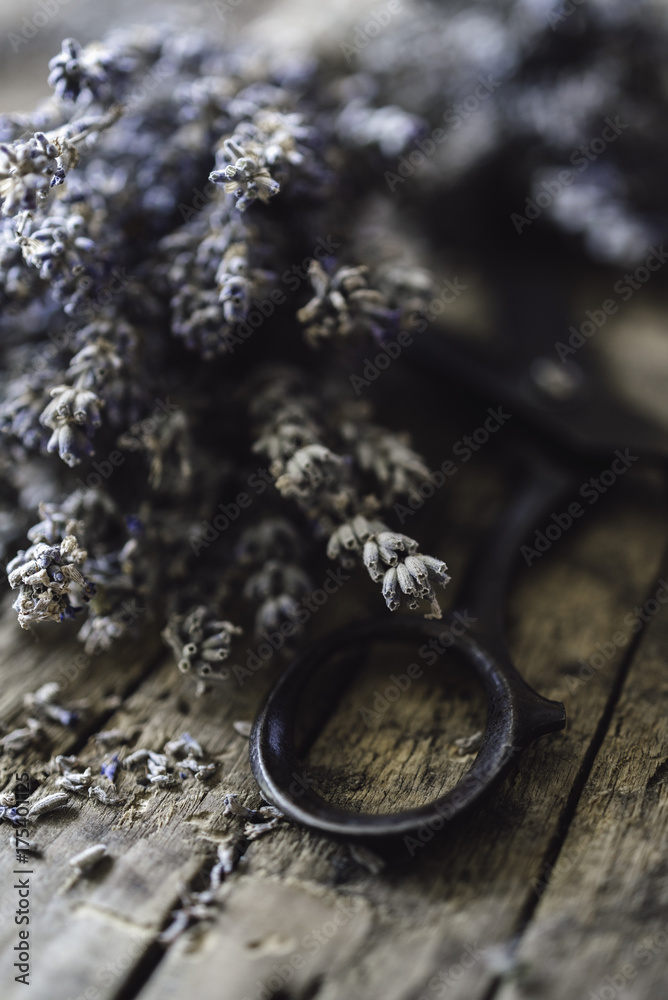 Dried lavender on an old table Dried lavender on an old table