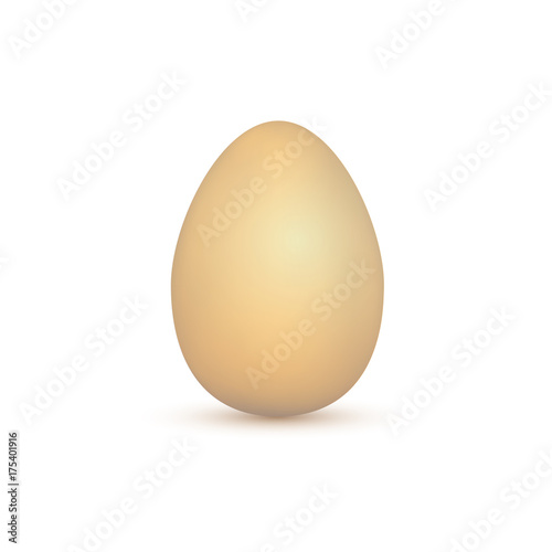 One chicken egg on a white background