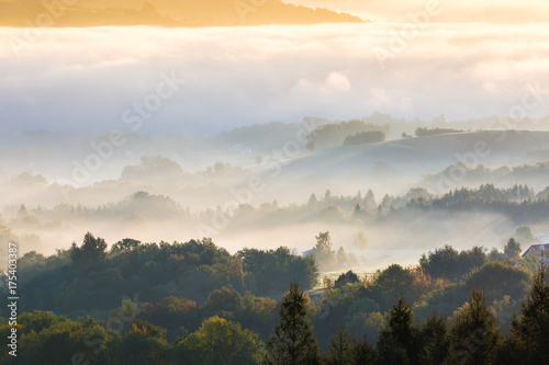 Unusual view of the autumn fog in the mountains at dawn. © rzoze19