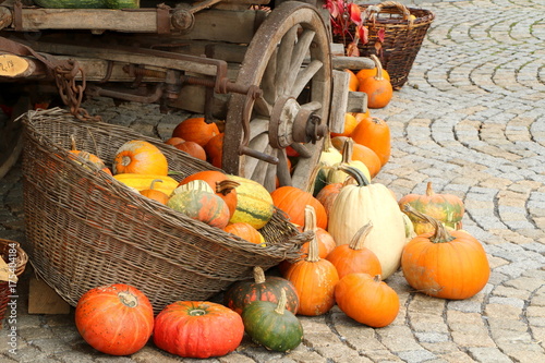 At the Pumpkin Market, Am Kürbismarkt

