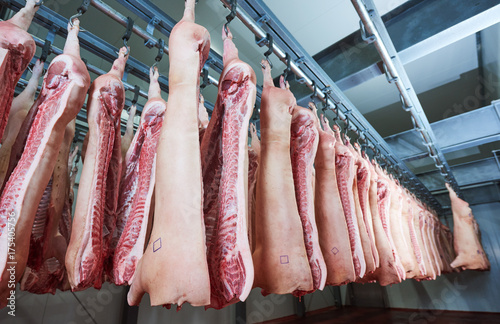 Refrigerator meat storage with handing sides in pork butchery.