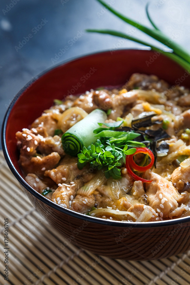 Oyakodon, Chicken and egg bowl, Japanese food, close view. Oyakodon, Chicken and egg bowl, Japanese food, close view.
