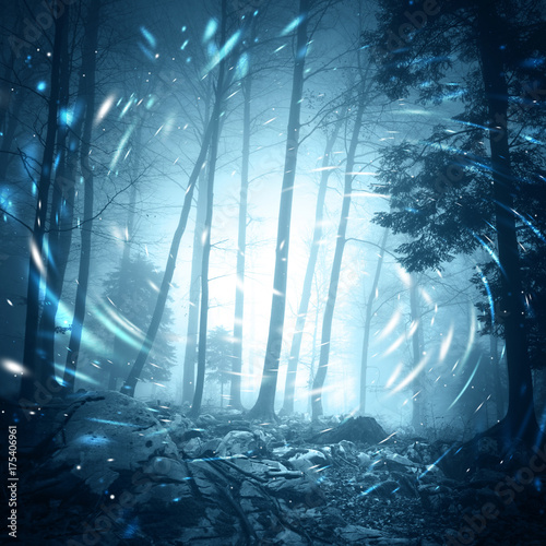 Foggy dark blue colored foggy forest tree landscape scene with mystical spin effect firefly lights.