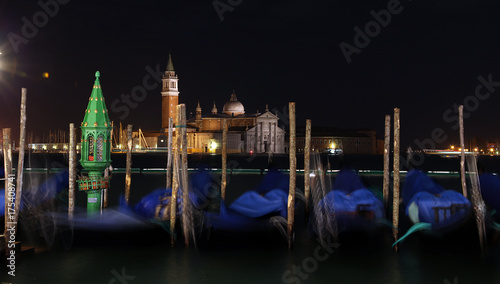 Venezia Orso Lupo