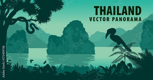 vector panorama of Thailand with great hornbill and python near jungle beach