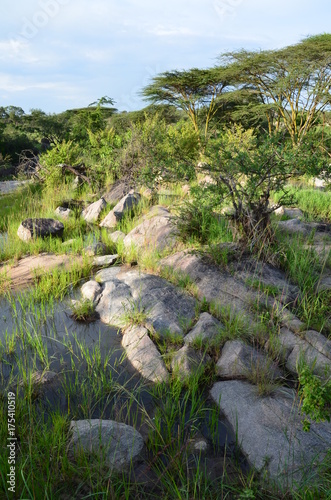 The African landscape. Tanzania