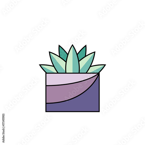 Potted succulent on white isolated background. House plant with sharp leaves in line flat style. Vector illustration of indoor flower in rectangle pot for interior design concepts.