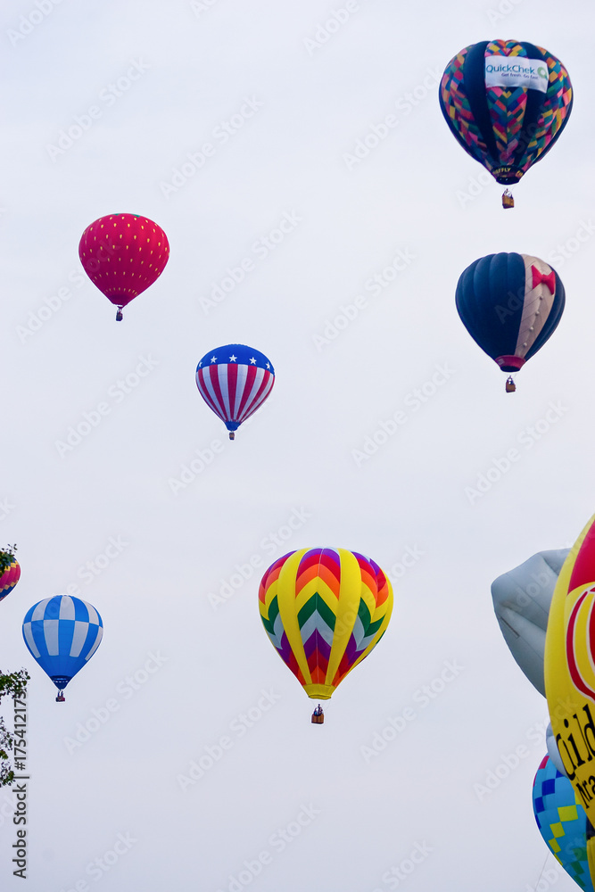 Naklejka premium Hot Air Ballon Parade