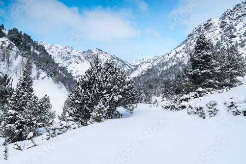 Morning after a snowfall in the mountains of Ordino in Andorra