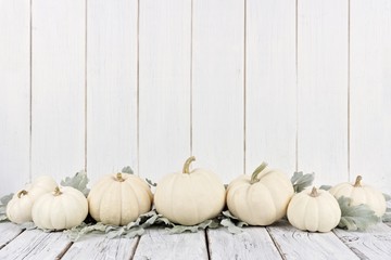 Autumn border arrangement of white pumpkins and silver leaves with a white wood background