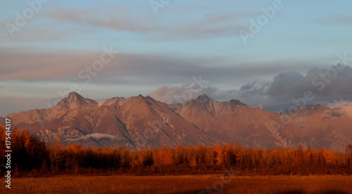 Evening Light