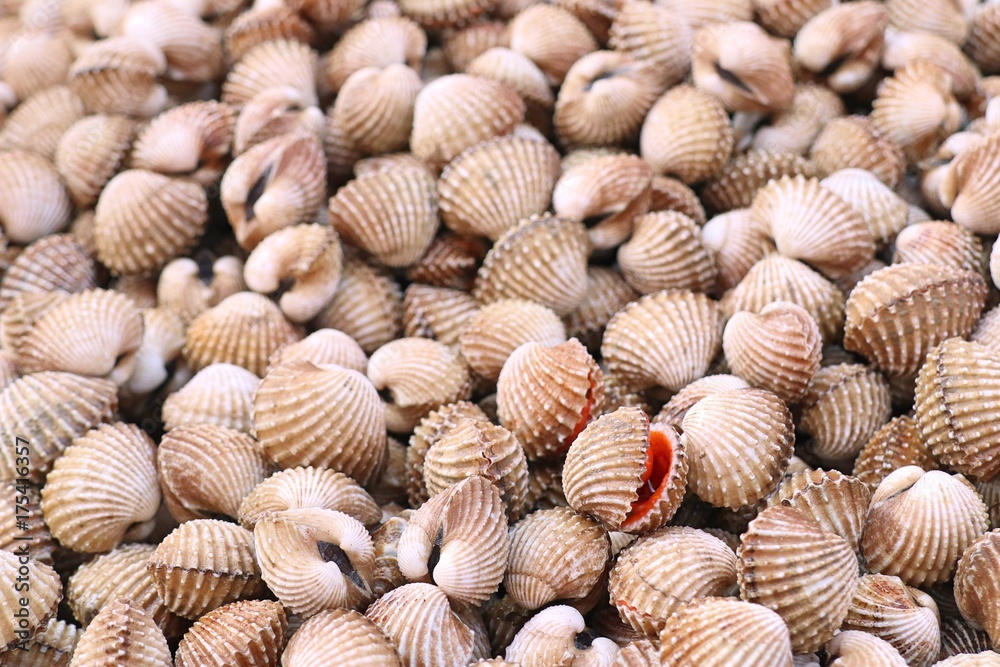 Cockles
