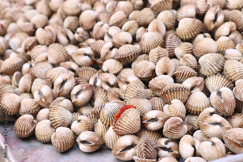 Cockles