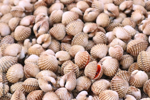 Cockles