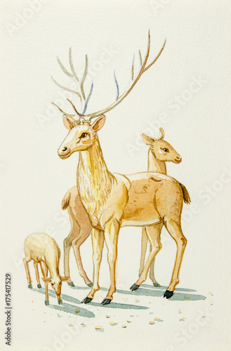 Obraz na płótnie Akwarela obrazu ilustracja piękny rysunek rodziny jelenia i dziecka