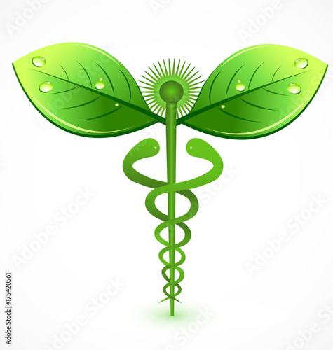 Caduceus organic green medical icon vector