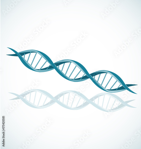 DNA strand double helix spiral icon vector