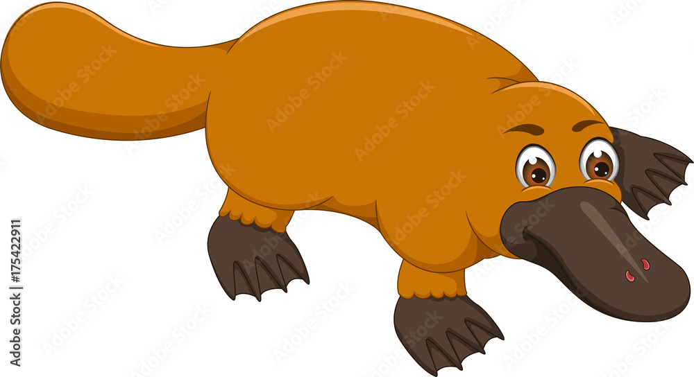 Fototapeta premium funny platypus cartoon crawl with smile